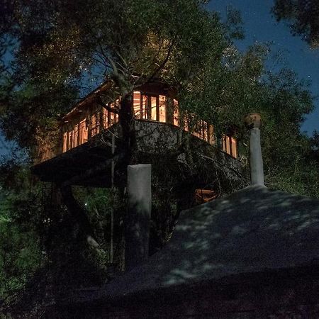 파라모나스 Margaritis'S Treehouse 빌라 외부 사진