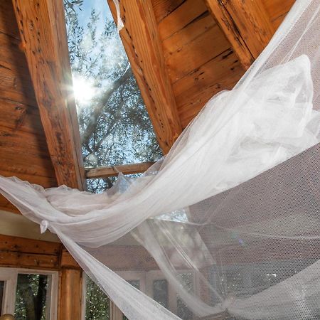 파라모나스 Margaritis'S Treehouse 빌라 외부 사진