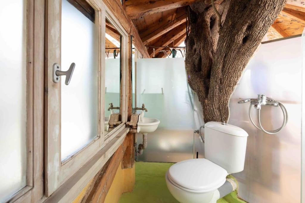 파라모나스 Margaritis'S Treehouse 빌라 외부 사진