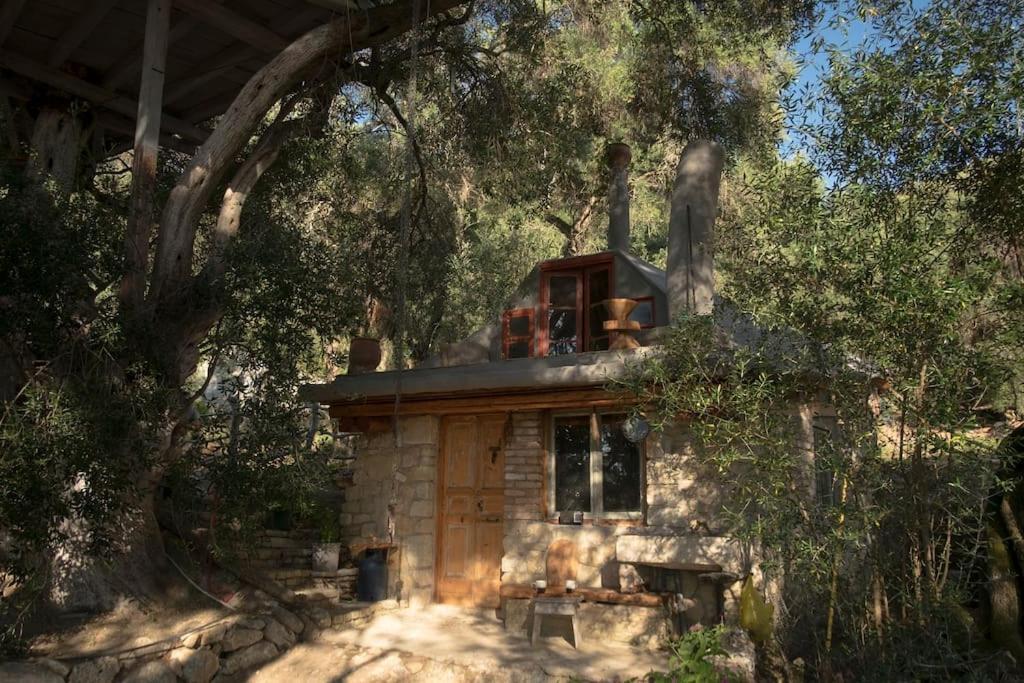 파라모나스 Margaritis'S Treehouse 빌라 외부 사진