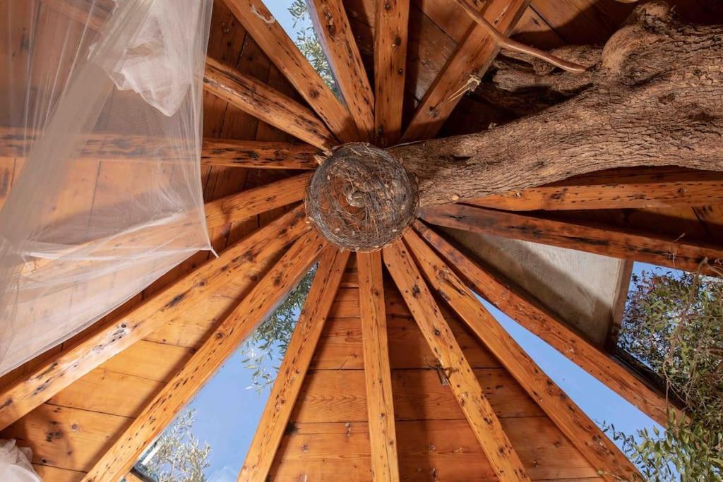 파라모나스 Margaritis'S Treehouse 빌라 외부 사진