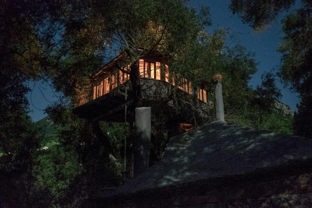 파라모나스 Margaritis'S Treehouse 빌라 외부 사진