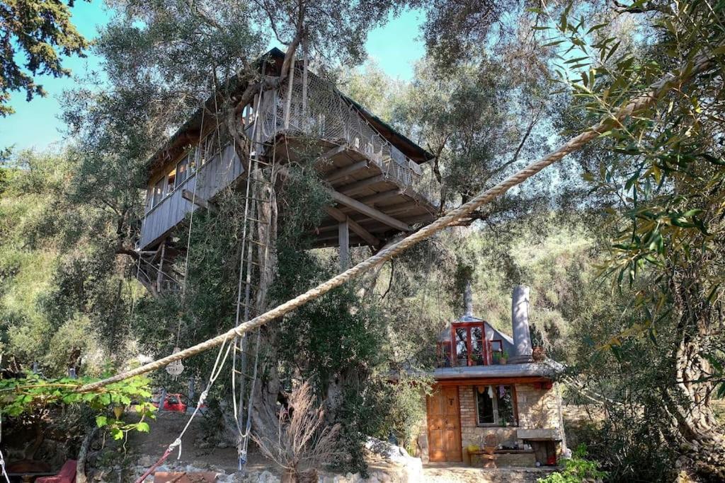 파라모나스 Margaritis'S Treehouse 빌라 외부 사진
