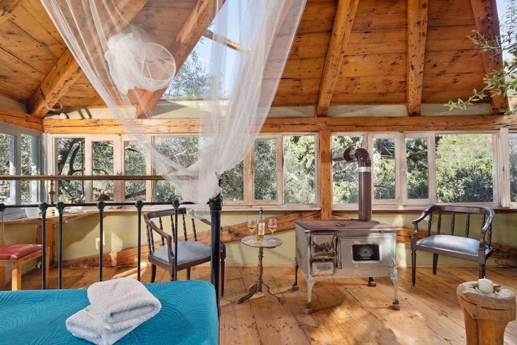 파라모나스 Margaritis'S Treehouse 빌라 외부 사진