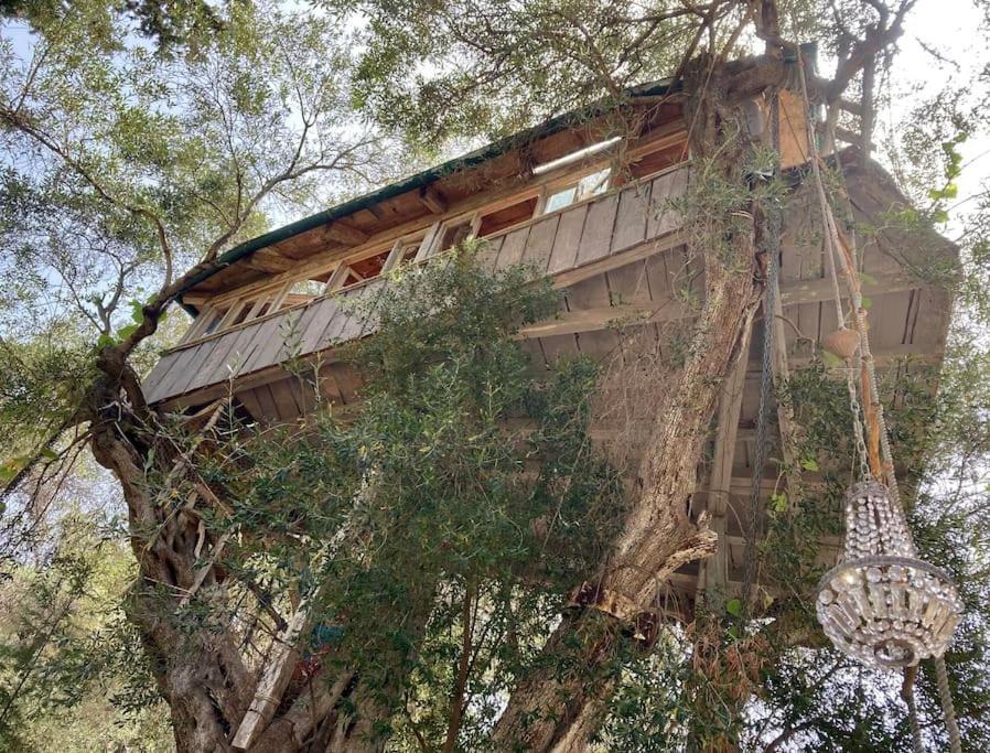 파라모나스 Margaritis'S Treehouse 빌라 외부 사진