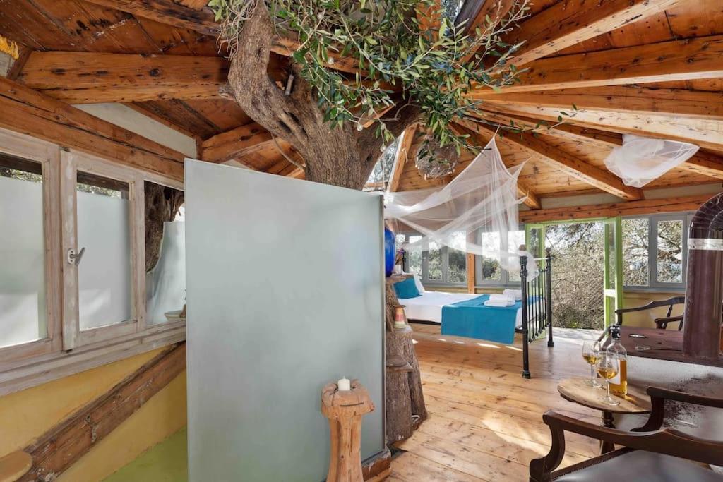 파라모나스 Margaritis'S Treehouse 빌라 외부 사진